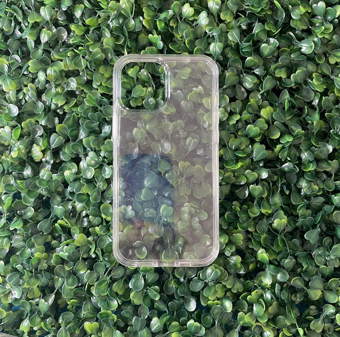 Transparent Hard Case